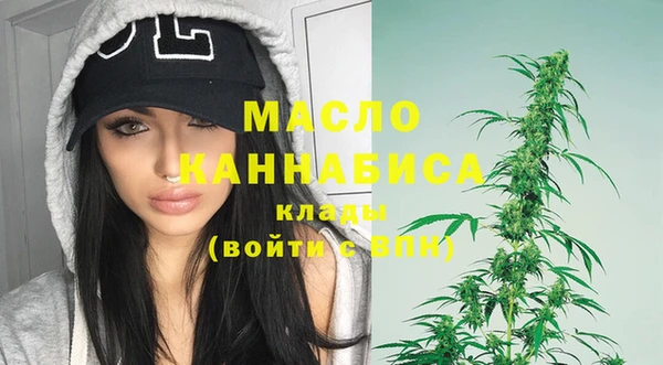 ешки Снежинск