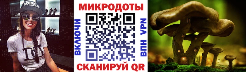 Галлюциногенные грибы Cubensis  Шебекино 